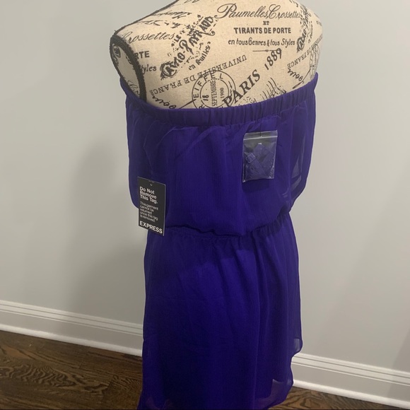 Express Dress (Medium) - Picture 2 of 5